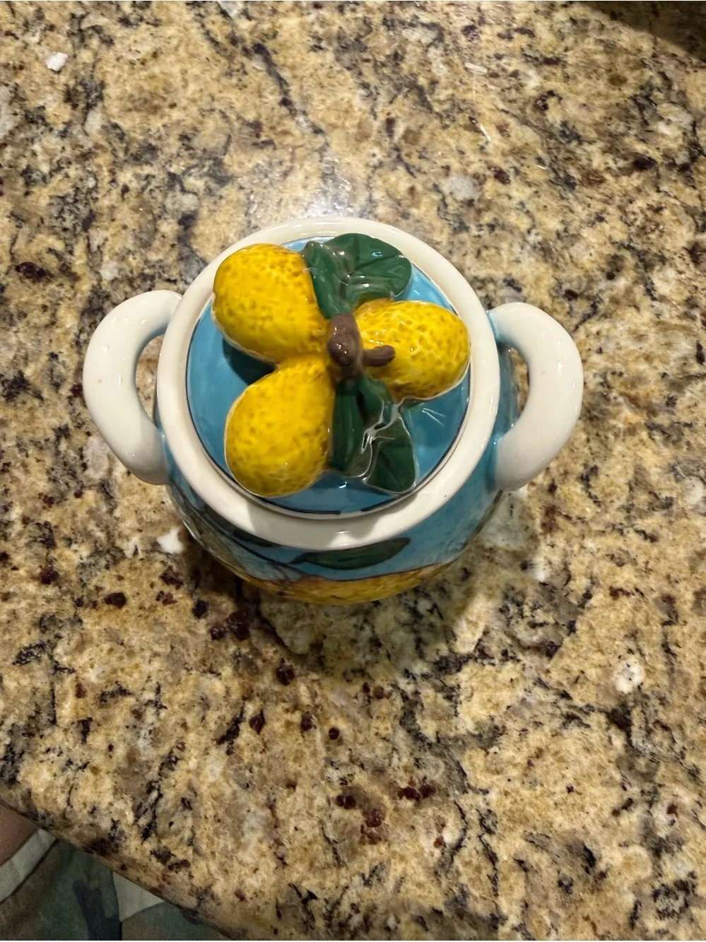 BLUE SKY CLAYWORKS NWT lemon sky sugar lidded jar Dimensions: 4